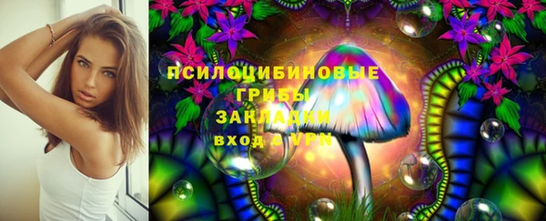 jwh Белокуриха