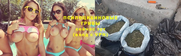 гашик Беломорск
