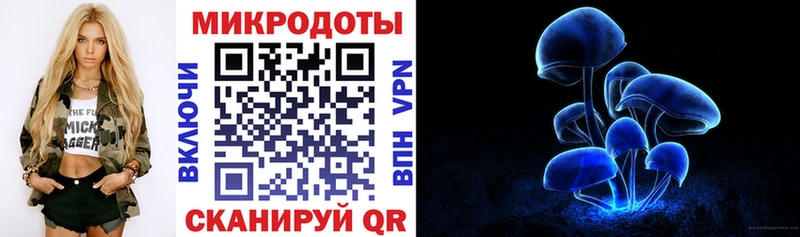 Галлюциногенные грибы Psilocybe  Короча 